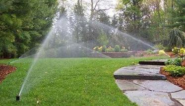 Sunrise Landscaping LLC