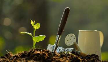 Sunrise Landscaping LLC